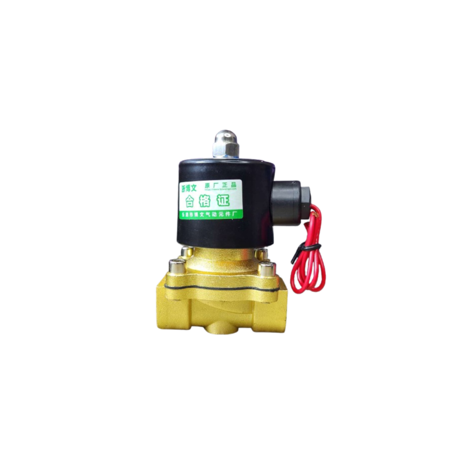 Eventure 2W-160-15 Electromagnetic Valve | 16mm Orifice | AC220V for Industrial Automation & Control