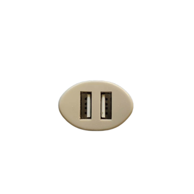 C06 ডুয়াল USB কার চার্জার | নিরাপদ চার্জিংয়ের জন্য 4-স্তর সুরক্ষা সহ 2.4A দ্রুত চার্জিং